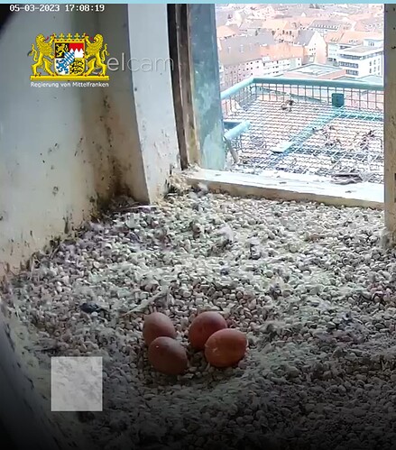 Capture+_2023-03-05-17-08-42(1)