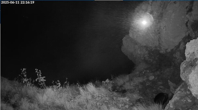 Screenshot 2025-06-11 221140