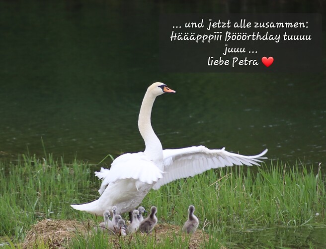 20230520073939_IMG_3957