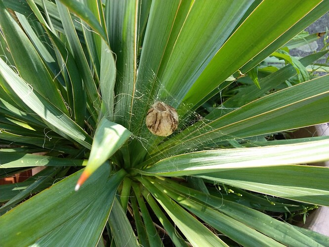 IMG_20250824_153926_294~2