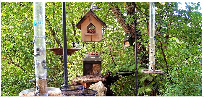 Screenshot_20250927-085324~2