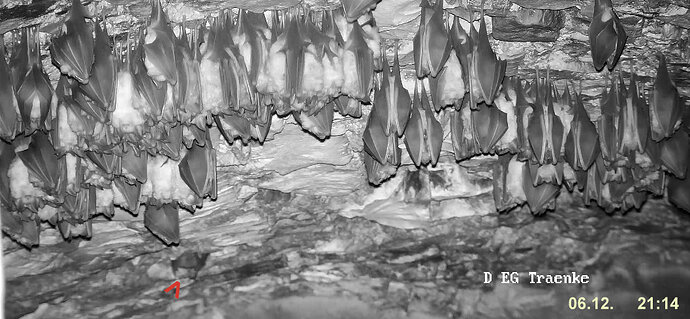 2025-12-06 Wimpi kommt an