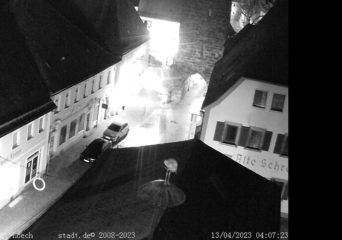 Bild