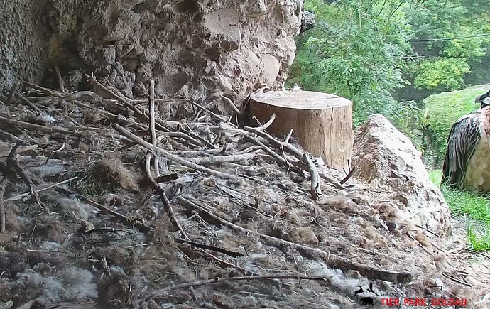 Screenshot_20250924-105711~2