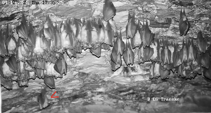 5 Vollbildaufzeichnung 04.12.2025 173536