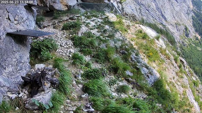 Bildschirmfoto vom 2025-06-23 11-18-25