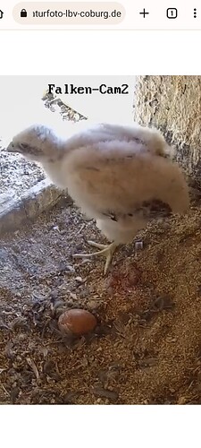 Screenshot_2023-05-13-10-26-37-207_com.miui.gallery