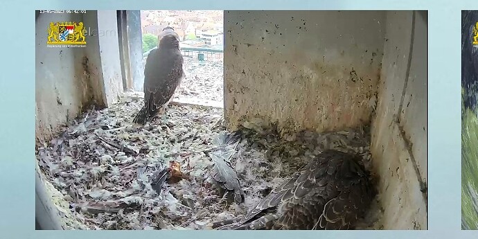 Screenshot_2023-05-13-06-42-29-604~2