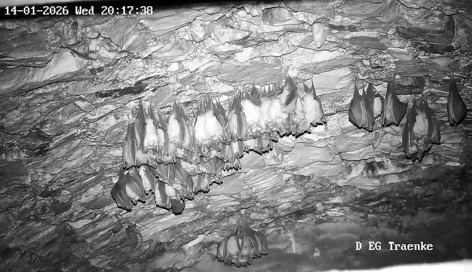 2026-01-14_5 ab 20.00 großer Cluster