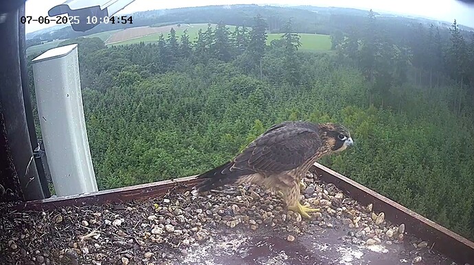 Kurzbesuch rein-raus-weg
