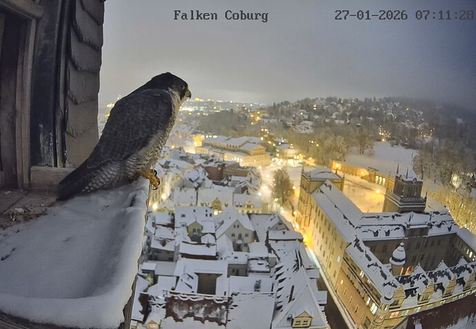 Screenshot_20260127_071133_Chrome