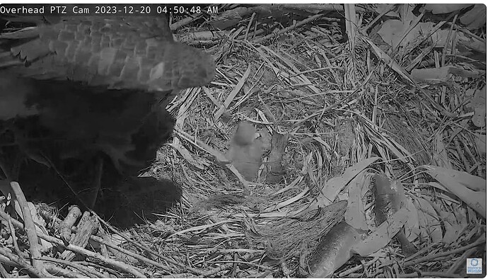 Screenshot 2023-12-20 105448