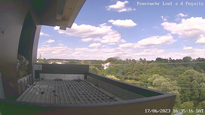 Feuerwehr Lauf a d Pegnitz_playback_1687012778102