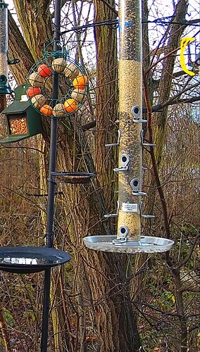 Screenshot_20221225-081858_Chrome