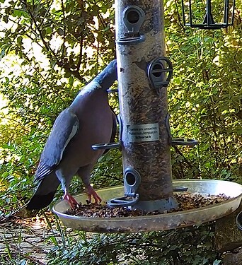 RiTa bei Schorsch 20.05.24