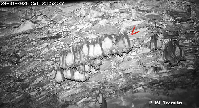 2026-01-24_2 ab 23.00 clusterähnlich 2