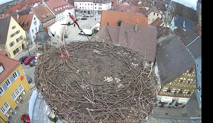 Bild