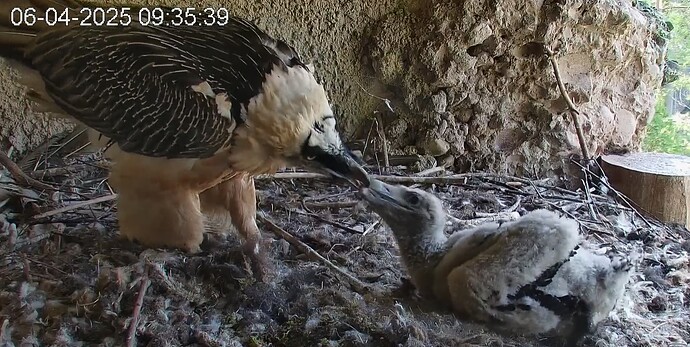 Frühstück 1 06.04.25