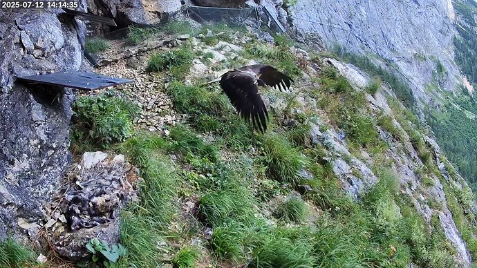 Bildschirmfoto vom 2025-07-12 14-14-59