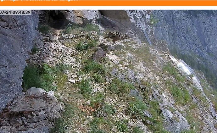 Screenshot_20230724-094918_Chrome