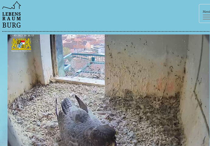 Snap_2023.03.27_11h37m21s_015_