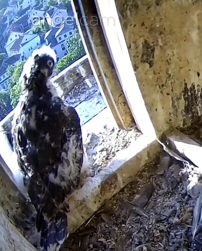 Screenshot_20230526-070603~2