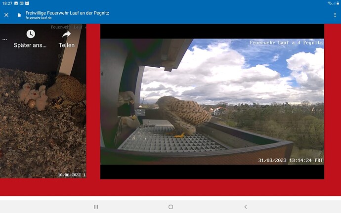 Screenshot_20230331-182751_Chrome