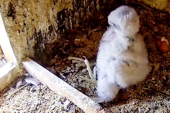 Screenshot_20230514-110909-01