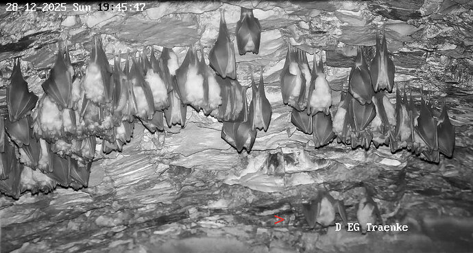 2025-12-28 ab 19.00_2