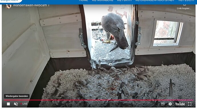 Screenshot_20260115-152155~2