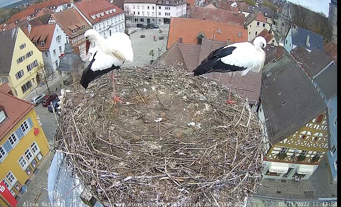 Bild