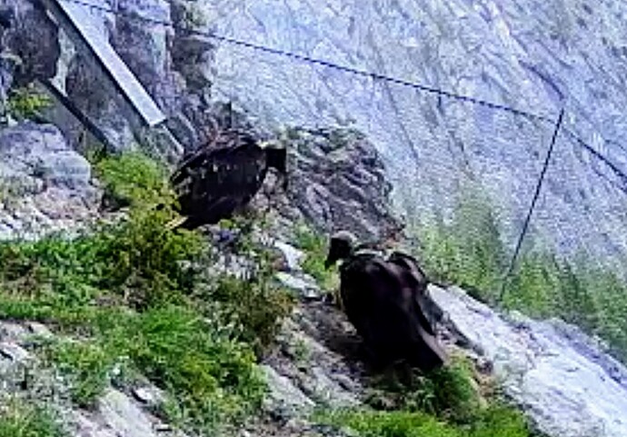 Screenshot_2025-06-11-14-53-59-936_com.android.chrome