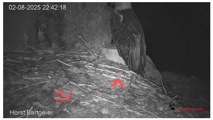 Screenshot_20250802-224325~3