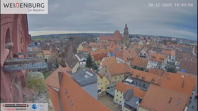 Screenshot (7603)