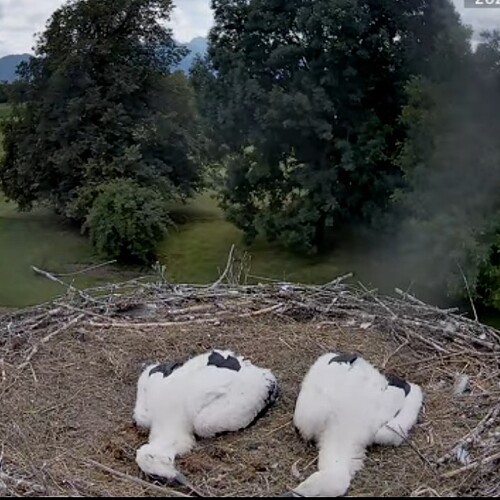 Screenshot_20250710-140314_Chrome