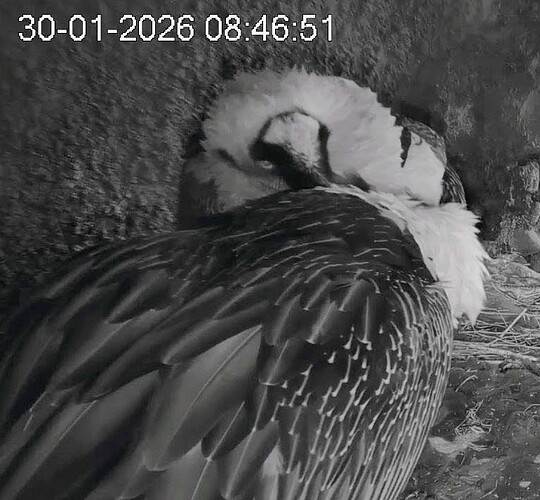 Screenshot_2026-01-30-08-47-50-658_com.android.chrome~3