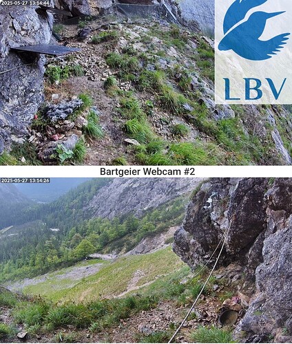 Screenshot_20250527_131509_Firefox