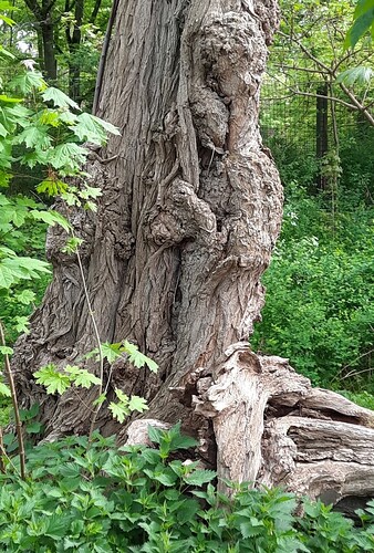 Ostermontag