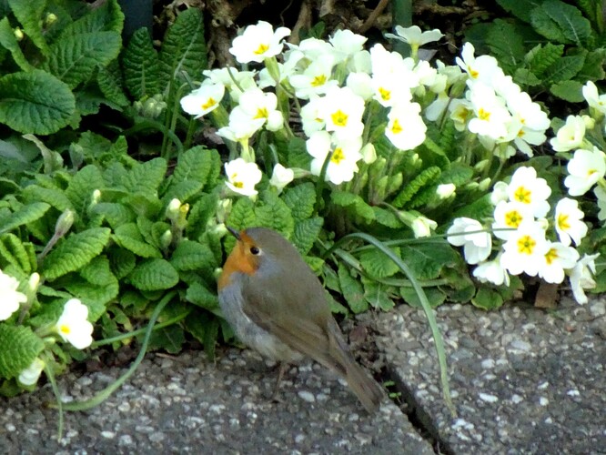 DSC03040