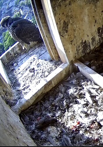 Screenshot_20230602-073042~2