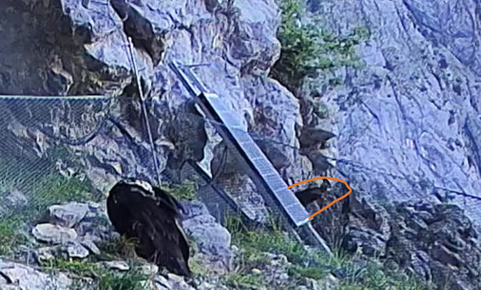 Screenshot_20260624-182104