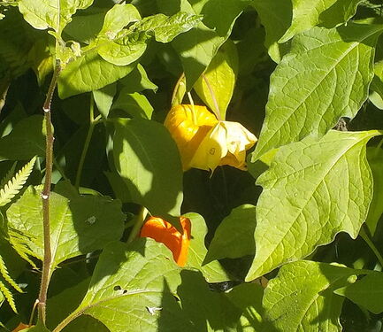 Snap_2026.07.25_09h28m23s_006_