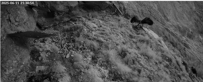 Screenshot 2025-06-11 212606