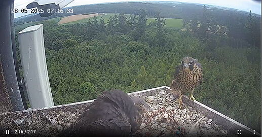 Snap_2025.05.28_07h16m33s_004_