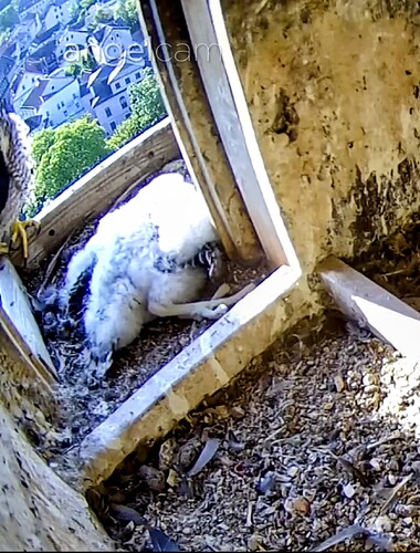 Screenshot_20230515-074328~3