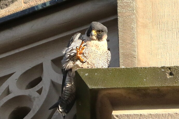 Wanda Lockerungsübung 3a