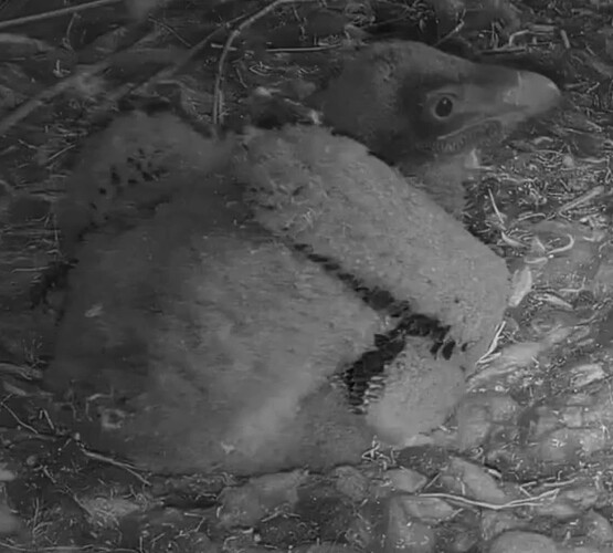 Screenshot_20240401-132324~2