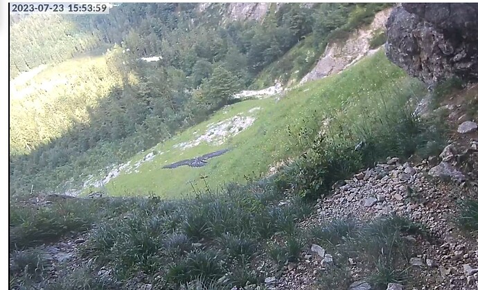 Screenshot_20230723-155455_Chrome