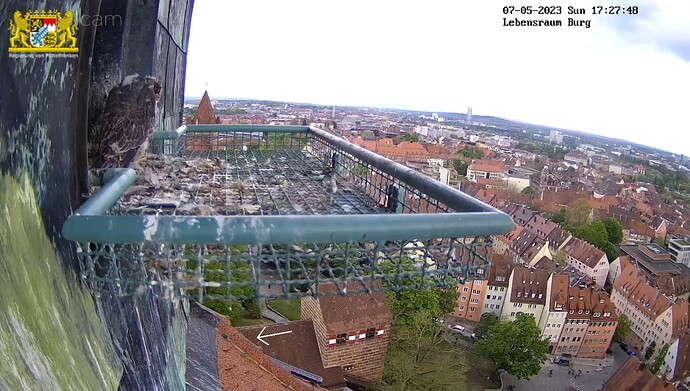 Screenshot_20230507-172811_Samsung Internet