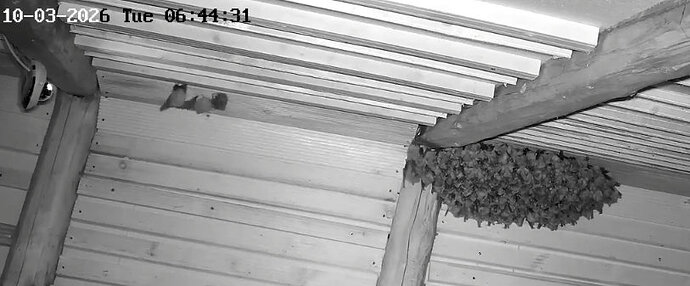 2026-03-10_3 ab 6.00 Cluster WG